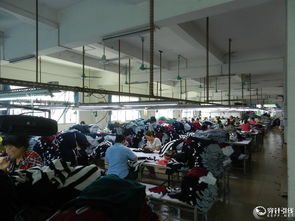 二十年深耕針織毛衣，200人實力工廠鑄就外貿品質標桿